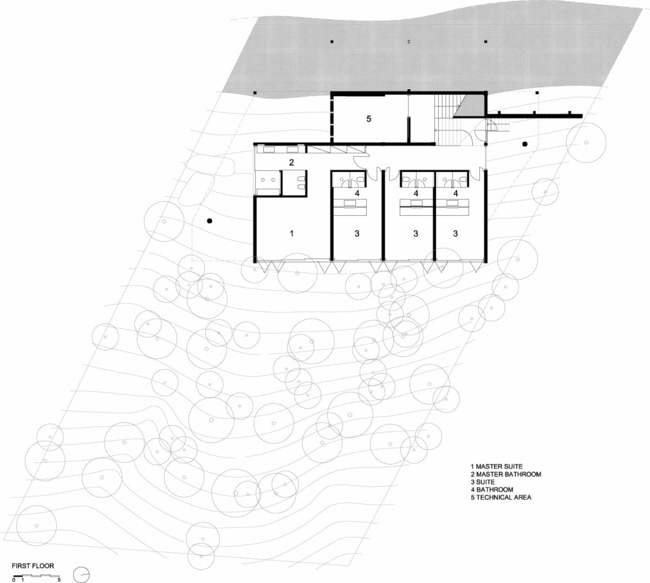 Distribuição espacial terreno floresta brasileira