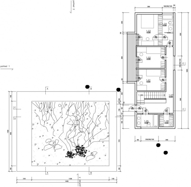 Plano de design transparência abertura sol natureza