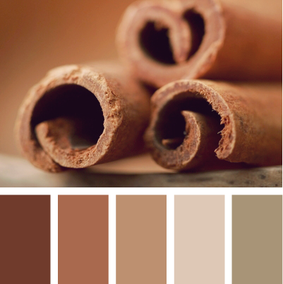 teste de cor tipo de cor quente quarto cores tons de canela