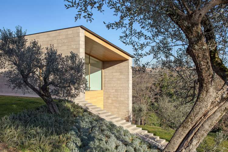 Painéis de fachada árvore de arenito itália natureza