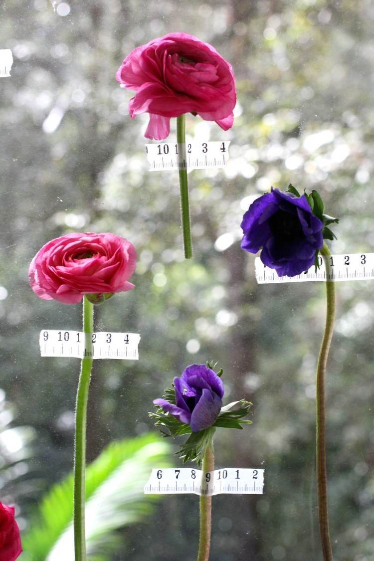 decoração de janela-funil-flores-faça-você-mesmo-tecido-papel-fita adesiva