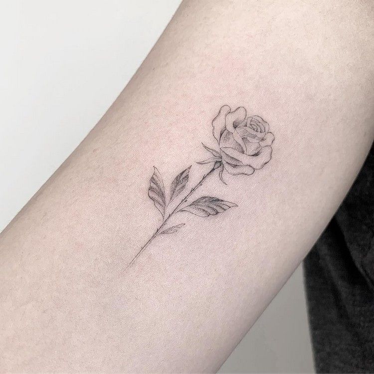 Desenho de tatuagem rosa com motivos de tatuagem de linha fina