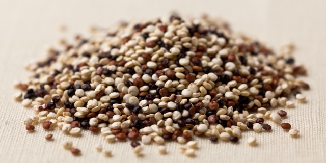 Quinoa rica em fibra estimula a digestão e emagrece rapidamente