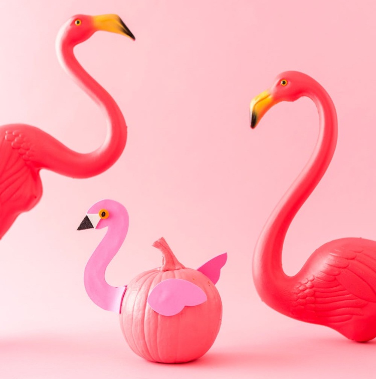 ideia de decoração de flamingo, abóbora, decoração de halloween engraçado
