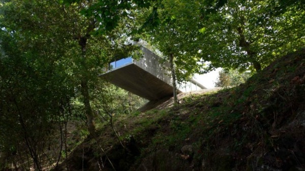 casa florestal minimalista inclinação-moderno-design florestal