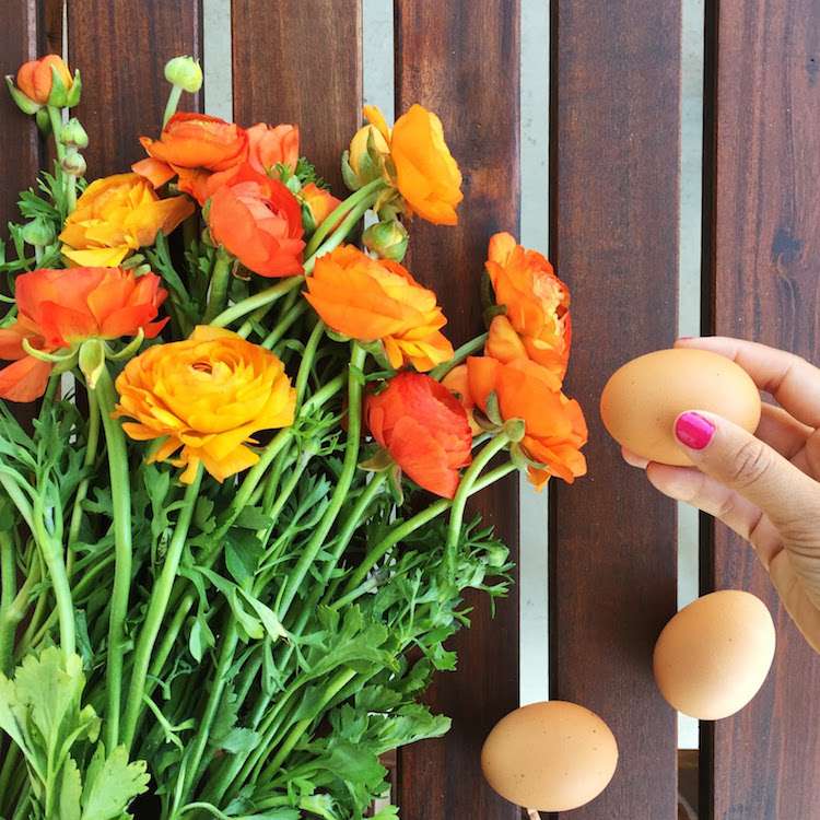 decoração-primavera-2017-faça-você-mesmo-ovos-flores-de-primavera-laranja