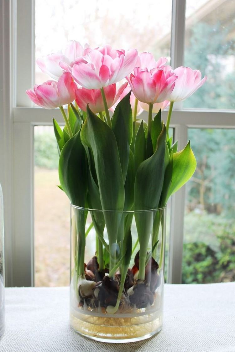 spring-decoration-glass-tulips-visible-bulbbs-water
