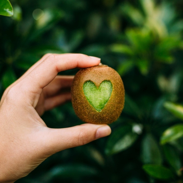 liquidificador de frutas ácidas descascando-faça-você-mesmo-purê de batata de kiwi