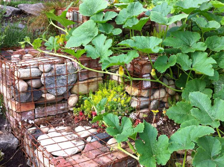 gabião parede-jardim-design-green-stones-fill-do-yourself