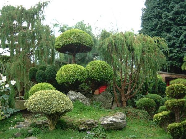 belo jardim retratando uma variedade de elementos imaginativos