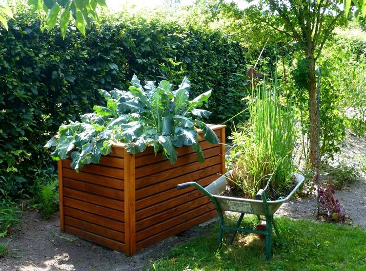 Dicas e ideias de design de jardins para jardineiros amadores