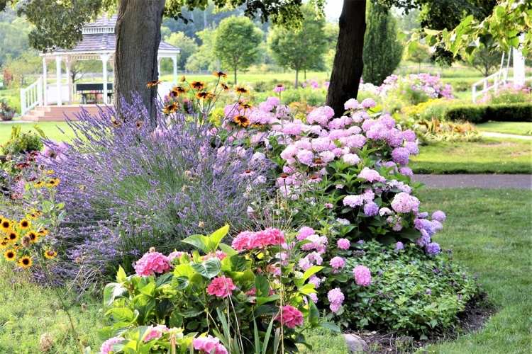 Dicas básicas de equipamentos de jardim para canteiro de flores