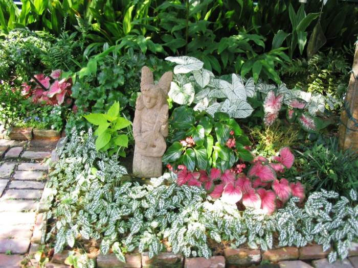 canteiro de plantas jardim folhas coloridas forma de sombra