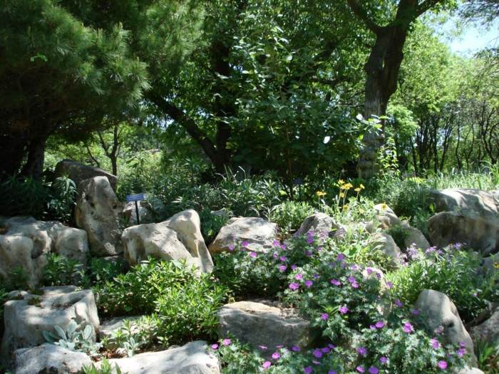 jardim com plantas sombreadas árvores ornamentais