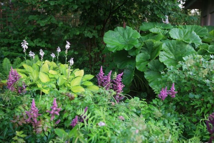 jardim com plantas sombreadas, flores, folhas, design