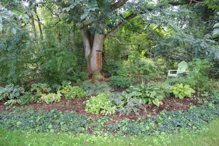 jardim com plantas sombreadas lençóis de árvores selvagens