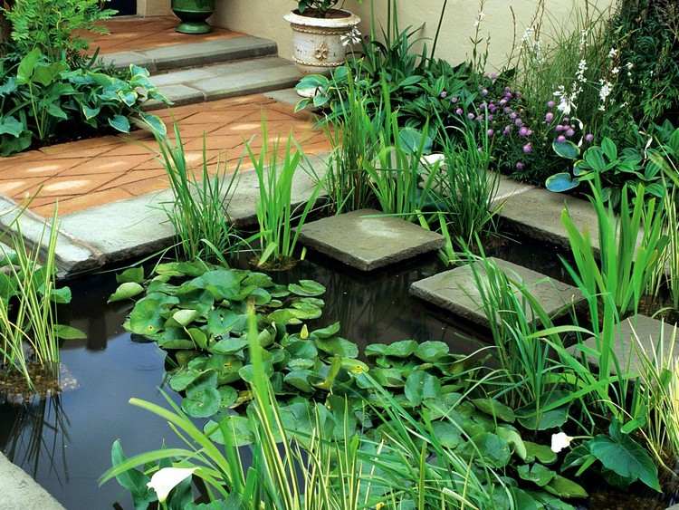pequeno-jardim-sem-gramado-nenúfares