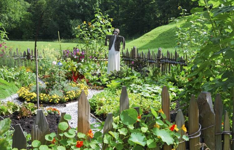 planejando jardim vegetais espantalho cuidado cerca de madeira