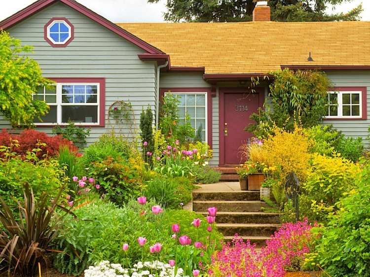 projete seu próprio jardim jardim da frente plantas selvagens escadas de pedra