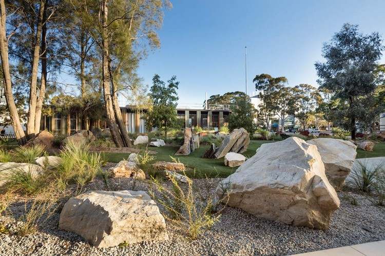 ideias modernas para jardinagem e paisagismo pedras, plantas, grãos