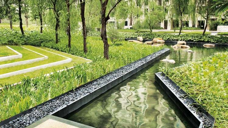 Projeto de arquitetura paisagística Cicada Studio Park China Stream stones