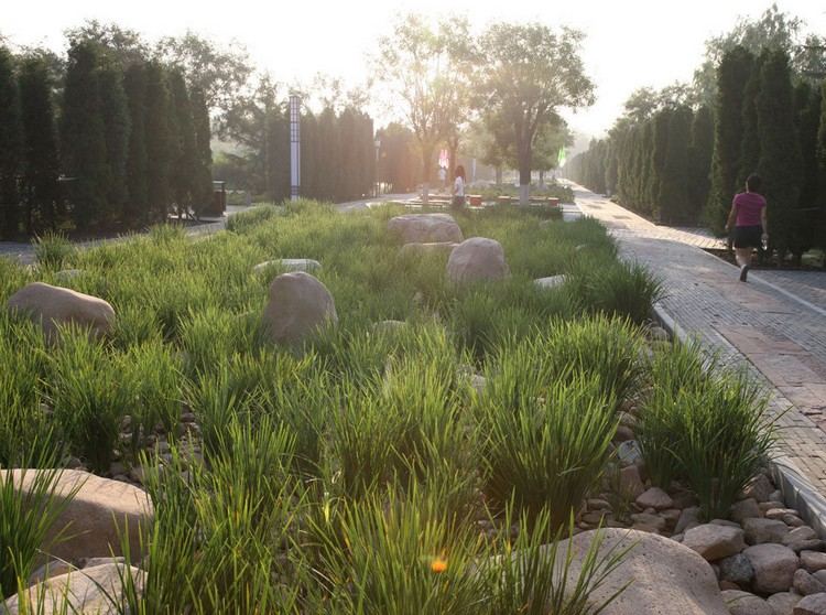 Pedras para paisagismo do Jardim Botânico de Qinhuangdao China