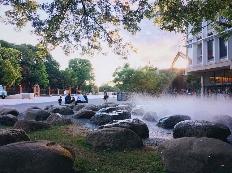 Jardinagem e paisagismo com bebedouro de pedras
