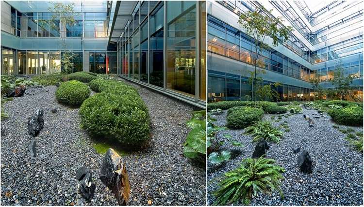 Projeto de jardim com sebes de pedra no átrio jardim Madrid