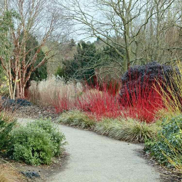 durante o outono, as árvores e plantas perenes adornam o jardim