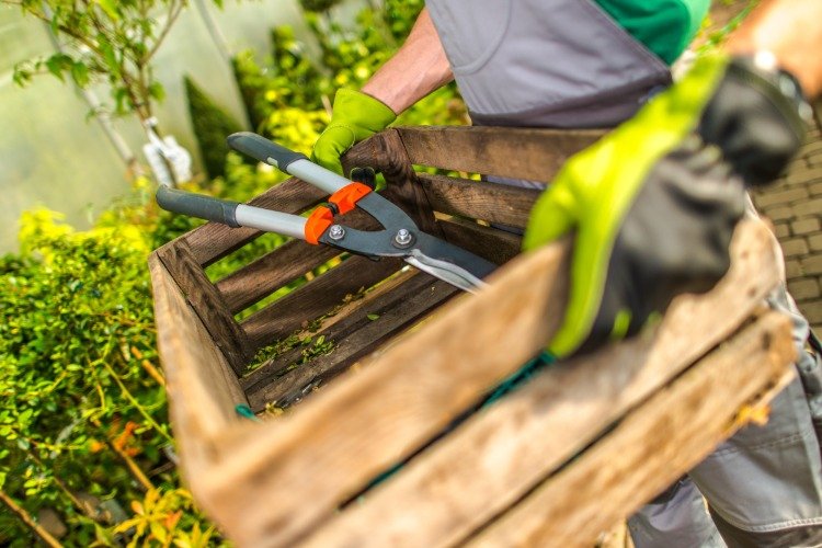 Carregando uma caixa de madeira com tesouras de podar como preparação para o inverno