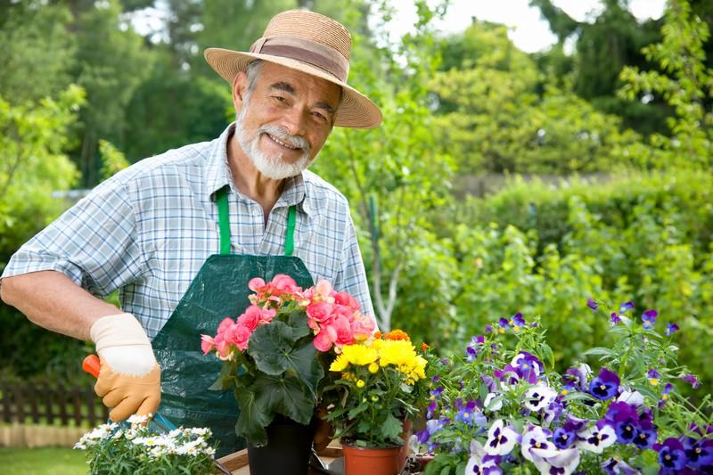 Jardinagem-facilitar-dicas-truques-usar-dispositivos