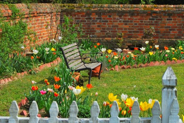 Primavera dicas truques ideias tulipas amarelo vermelho