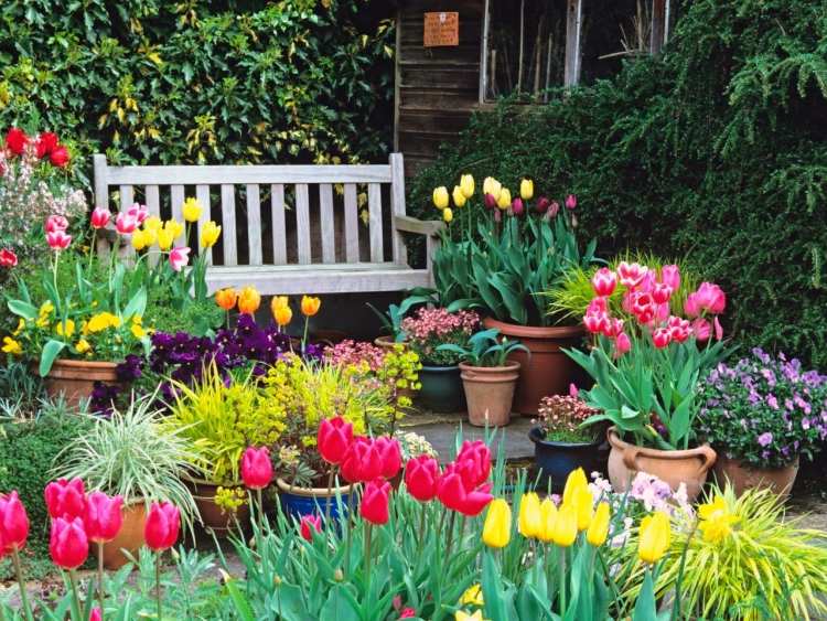 jardim-primavera-jardinagem - banco-branco-plantador-flor-planta-casa