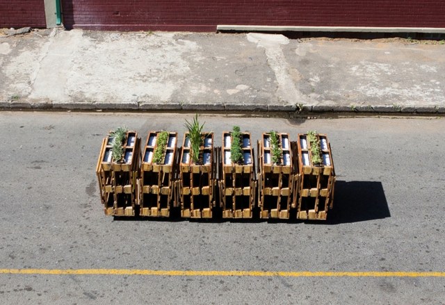 Projeto de design de plantador de móveis de paletes Joanesburgo