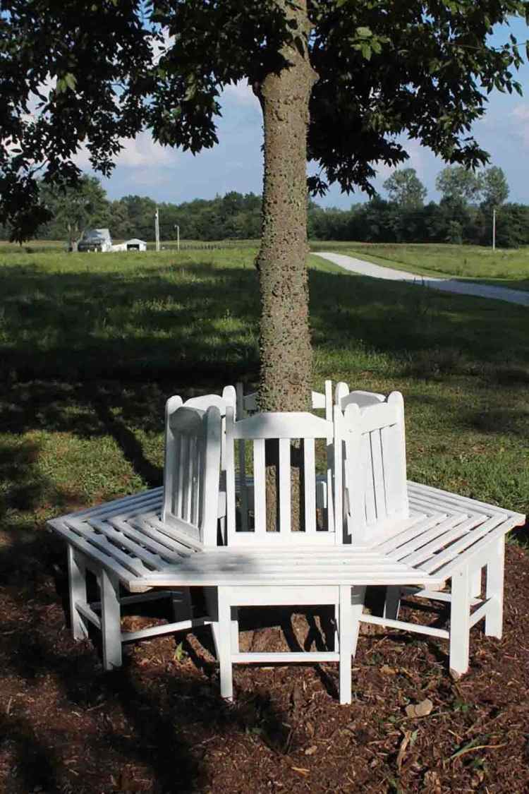 Pinte cadeiras velhas de branco e use-as como base para ideias de reciclagem de bancos de jardim para organizar árvores