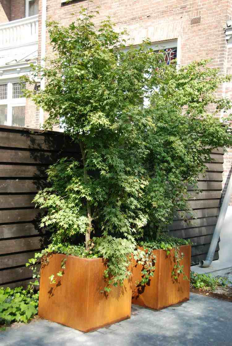 decoração de jardim-ferrugem-plantadores-minimalista-cubos-árvores-plantas
