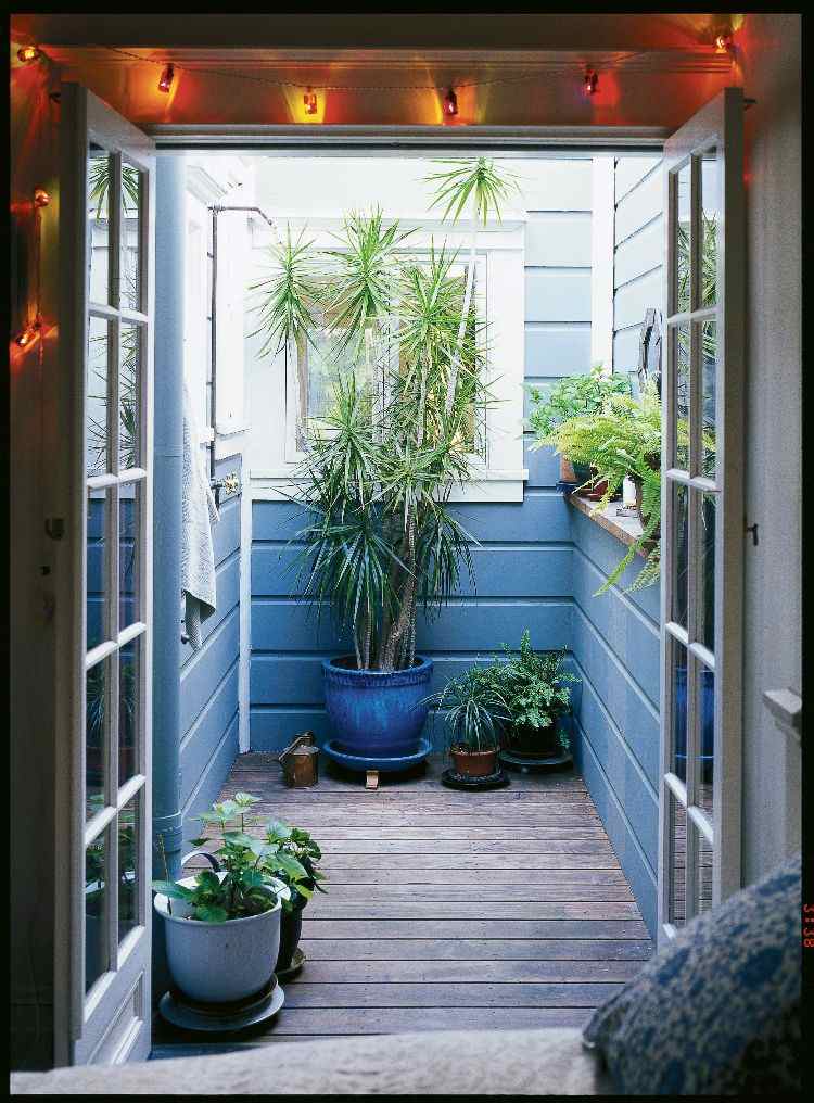 construir seu próprio jardim chuveiro externo jardim área externa terraço na cobertura plantas chuveiros