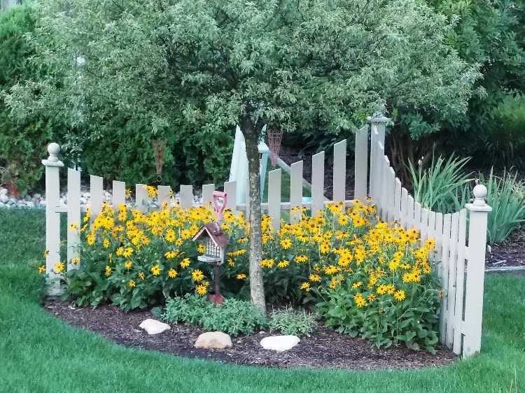forma de canto de jardim plantando flores amarelas cerca branca