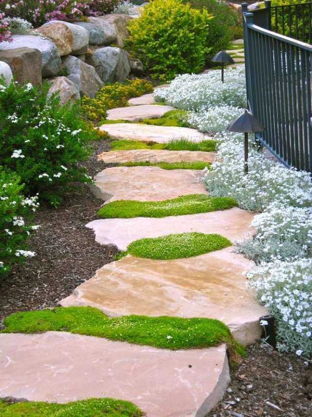 Cobertura do solo de pedras de musgo estilo jardim japonês