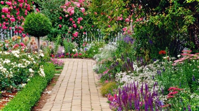 casa de campo jardim flores passarela peônia ornamental cebola