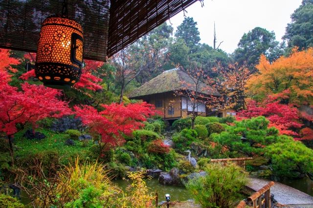 jardim japonês vermelho verde laranja contrastes lagoa