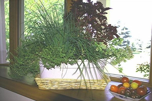 idéias de design de jardim peitoril da janela inverno frio lá fora viver melhor