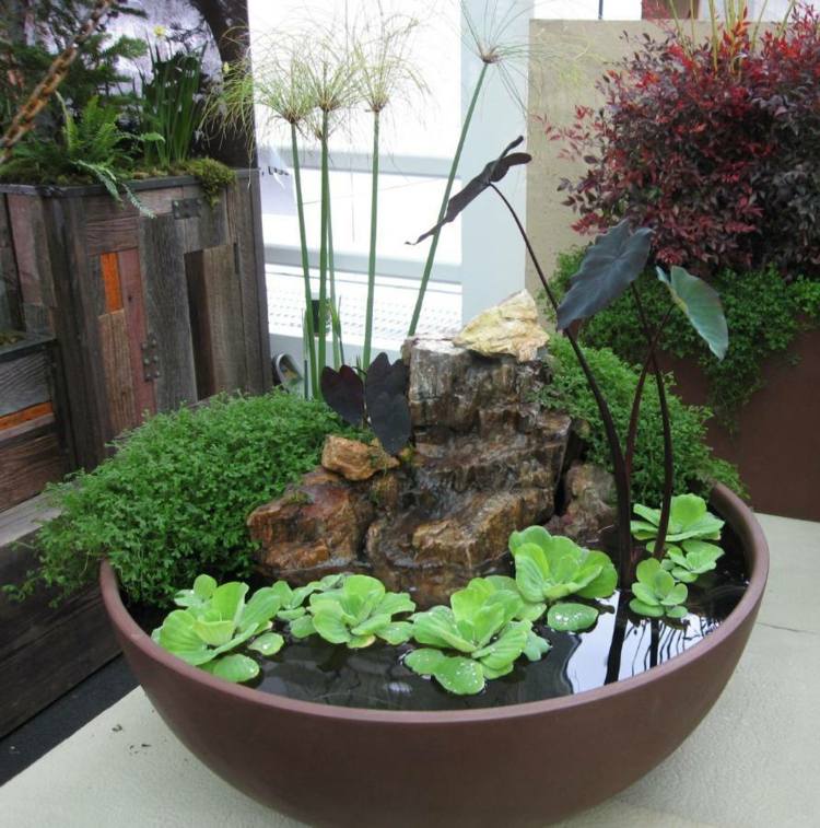 Inspirações para projetos de jardins Crie um minibrago Selecione plantas aquáticas Pedras