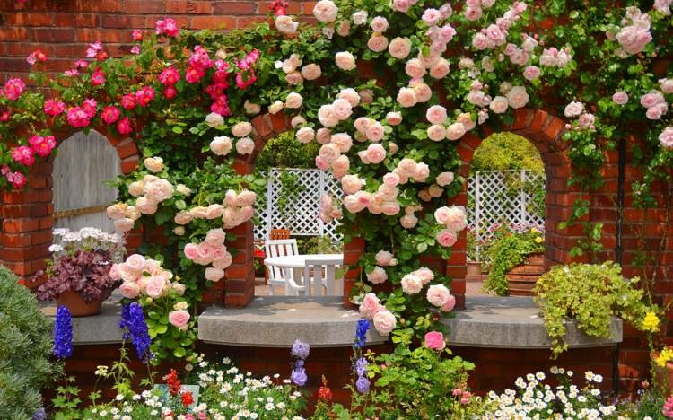 Projeto de jardim trepadeira flores jardim de rosas parede de pedra