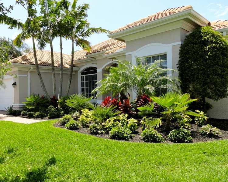 Exemplos de inspirações de design de jardins no jardim da frente palmeiras exóticas