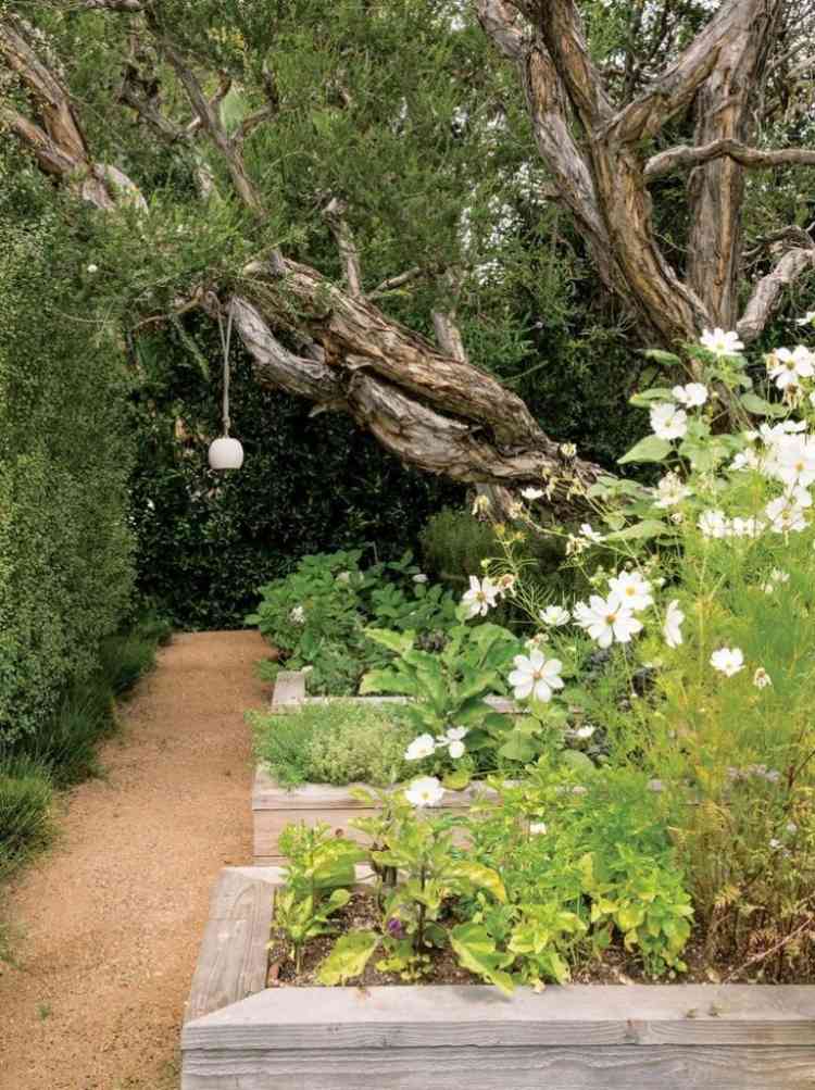 Rock jardim-criar-jardim-design-cascalho-avenidas-vegetação-canteiros elevados-árvores
