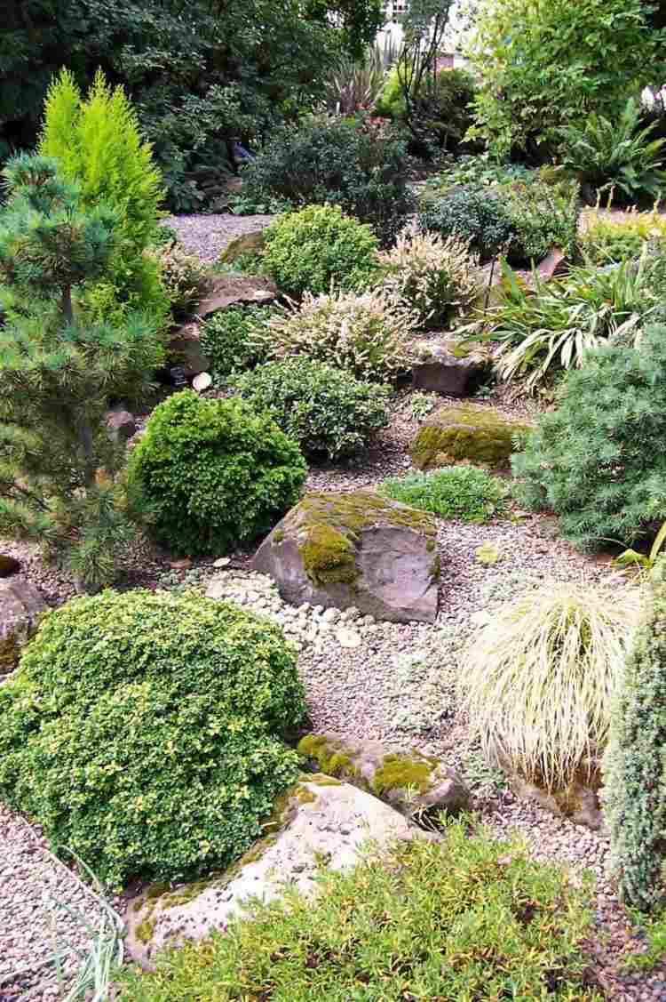 rock garden-create-garden-design-cascalho-grit-rock-arbusto-grama-solo coberto-seco