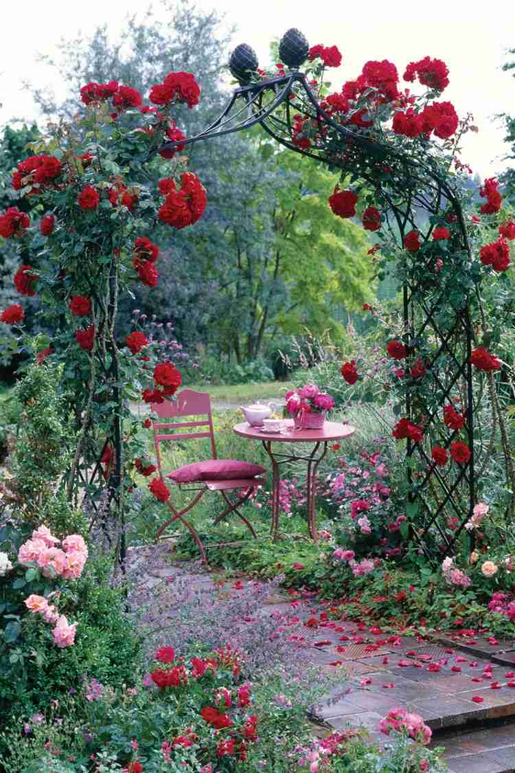 jardim design-rosa-rosa-arco-metal-romântico