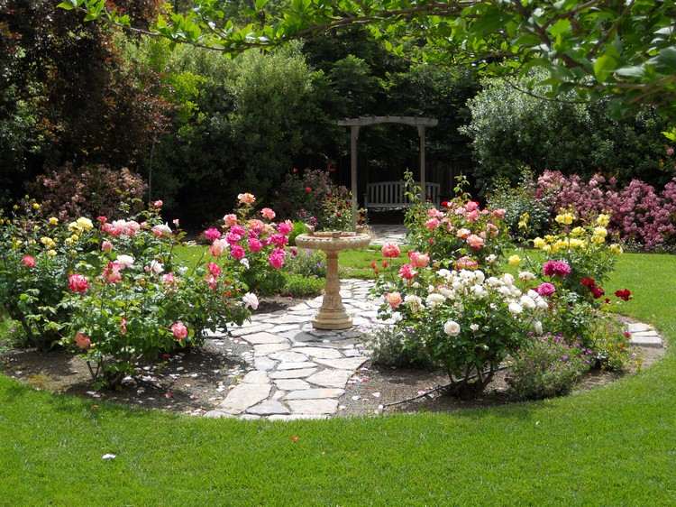 jardim-design-rosas-rosa-camas-círculo-design-fonte