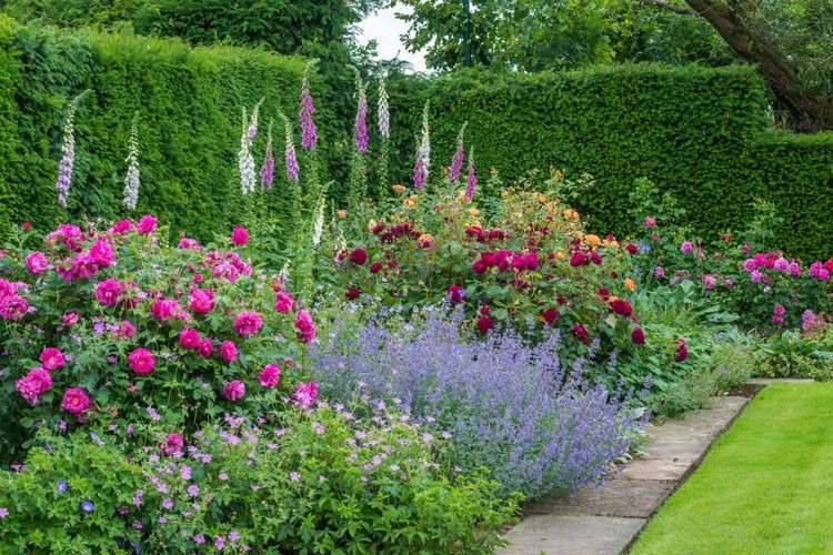 projeto-rosas-canteiro-de-flores-rosas-acompanhantes-plantas-ideias de jardim